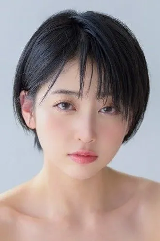 山河归途 历史战争热播电视剧全集